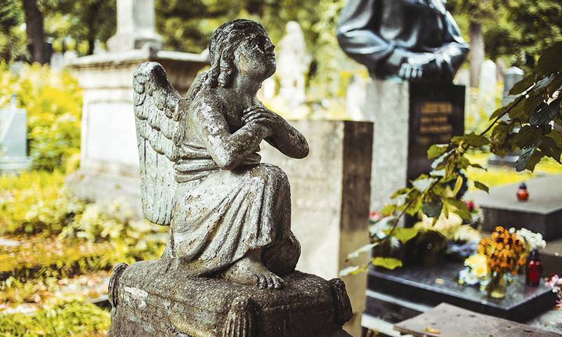 Cmentarz Łyczakowski oraz Orląt Lwowskich